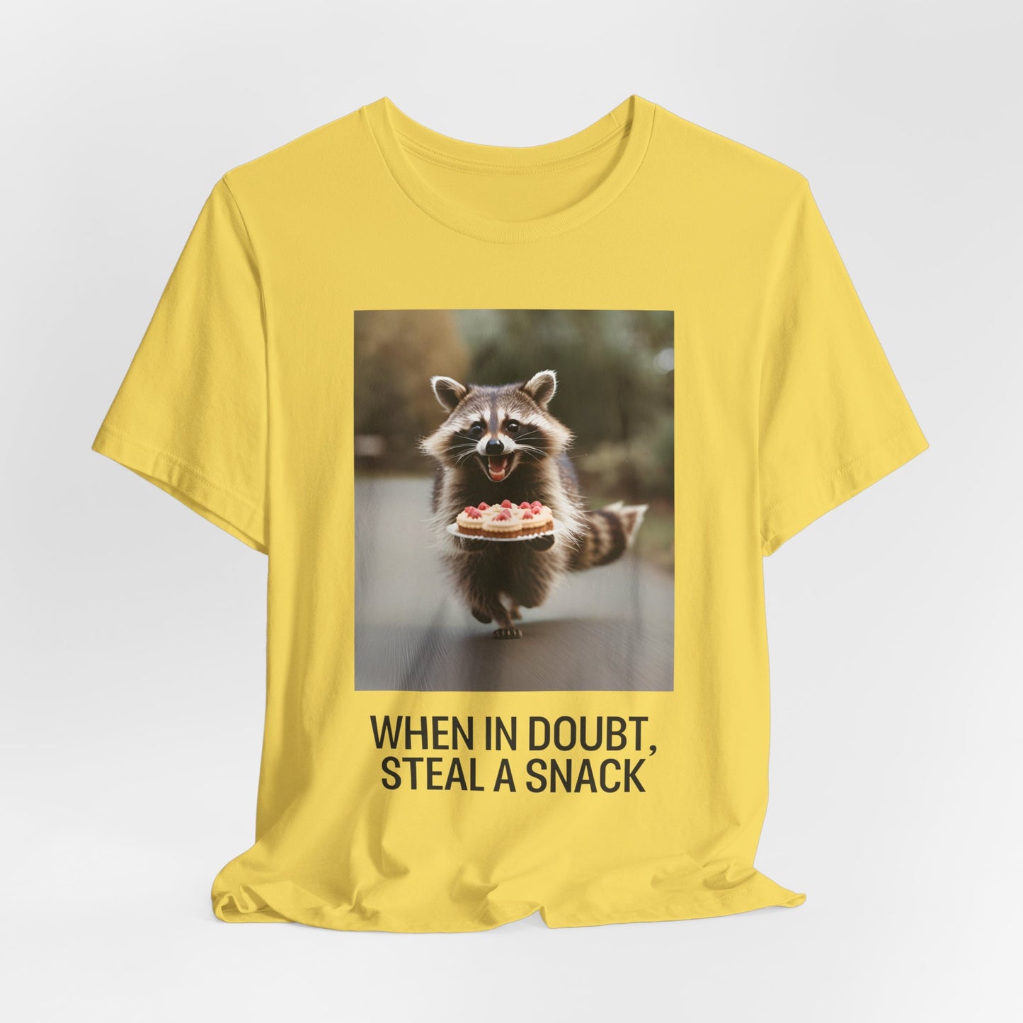 Funny Raccoon Meme T-Shirt | Scripted Expression