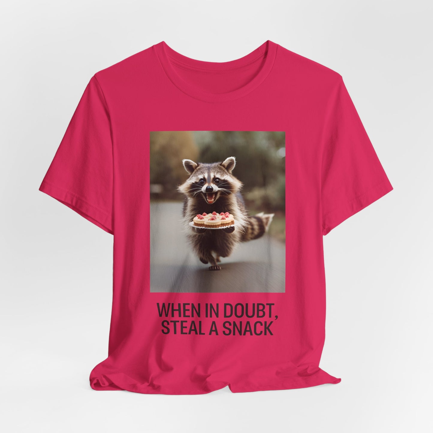 When in Doubt, Steal a Snack – Funny Raccoon Meme T-Shirt | Cute Animal Humor Tee - Scripted Expression