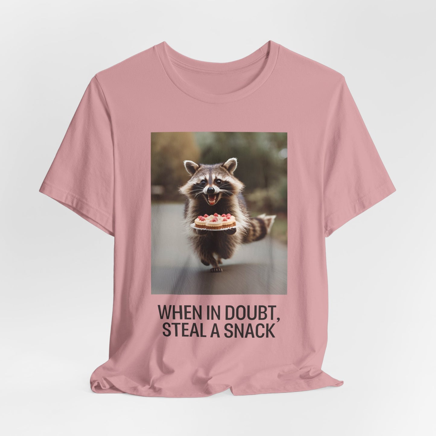 Funny Raccoon Meme T-Shirt | Scripted Expression